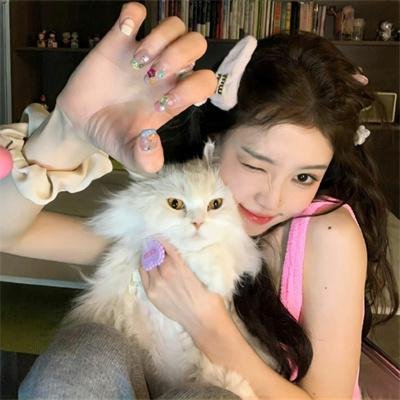 快乐的小鸡